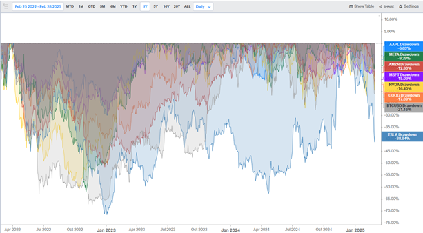 Magnificent Seven Stocks & Bitcoin Down from Their All-Time Highs. TSLA –39%.