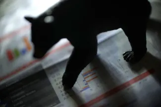 Stocks Suffer Post Liberation Day, S&P 500 Nears “Bear Market Territory”