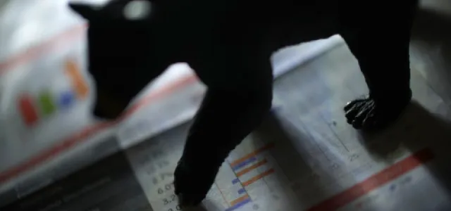 Stocks Suffer Post Liberation Day, S&P 500 Nears “Bear Market Territory”