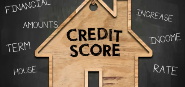 “Small Steps, Big Gains: A Practical Guide to Building and Maintaining Your Credit Score”