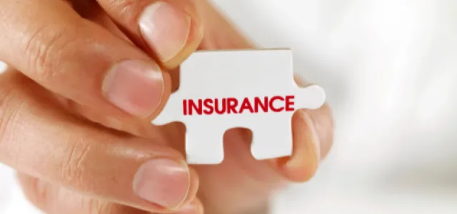 Insurance Strategies for Small Business Owners: Protecting a Company’s Future