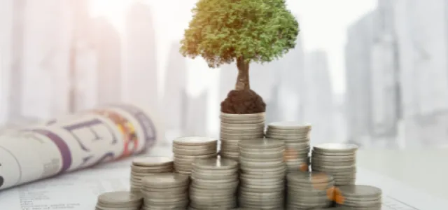 January Stock Surge Signals Strong 2025: Economic Growth, Earnings, and Risks Ahead